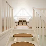 Haus-seestern *